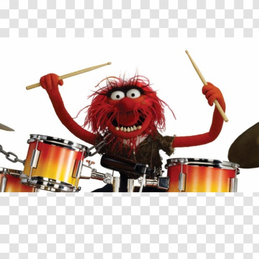 Animal Muppet*Vision 3D Beaker Fozzie Bear Miss Piggy - Dave Grohl - Muppets Schlagzeuger Transparent PNG
