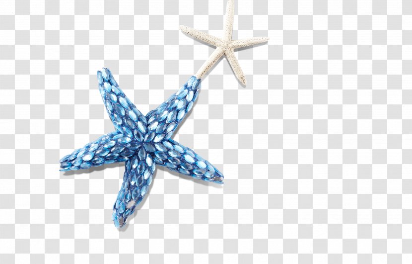 Seashell Starfish - Cmyk Color Model - Blue White Five-pointed Star Starfish, Shellfish, Marine Transparent PNG