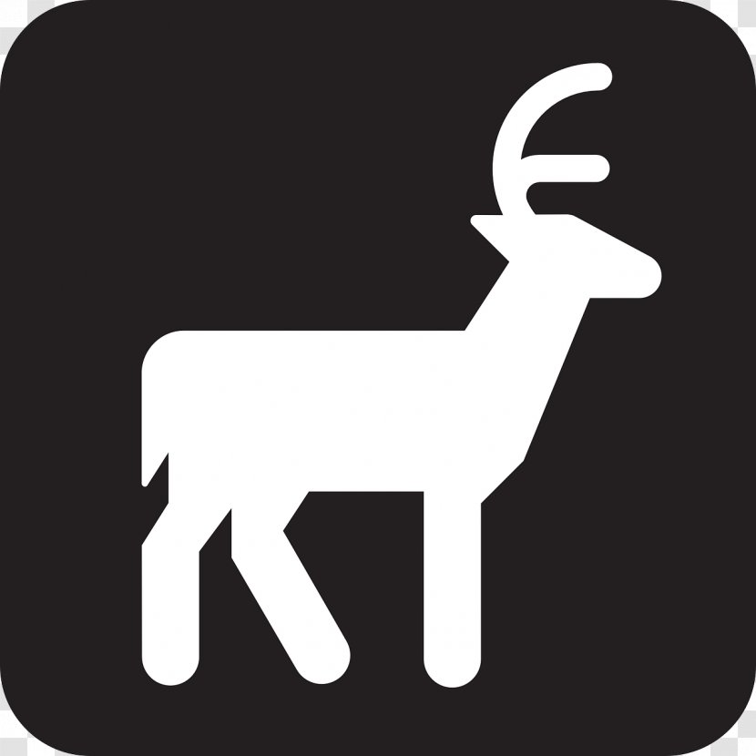 Reindeer White-tailed Deer Hunting - Finger Transparent PNG