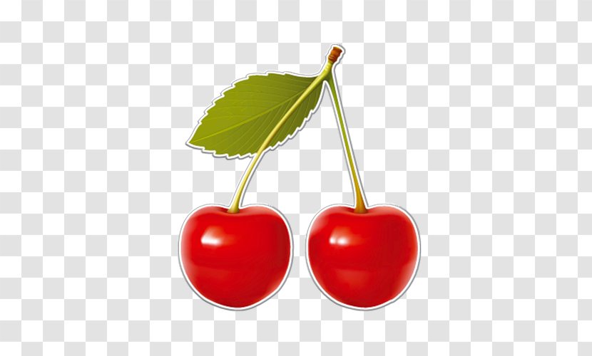 Barbados Cherry Food Clip Art - Stock Photography Transparent PNG