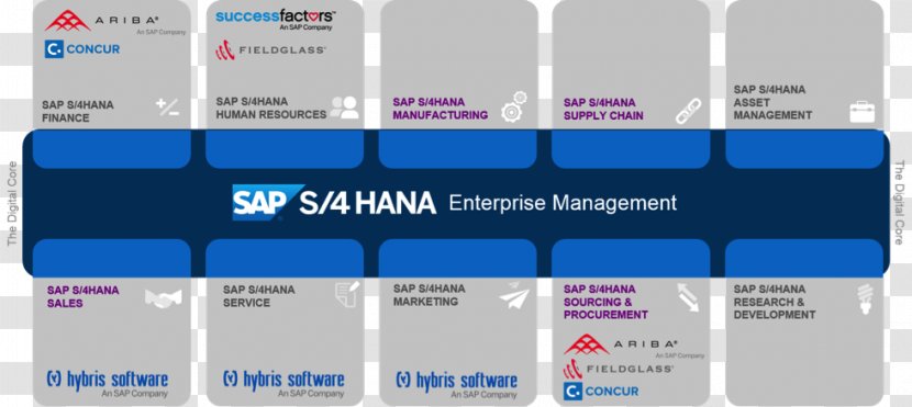 SAP S/4HANA HANA SE Business Suite - Sap One - Natural Flyer Stock Image Transparent PNG