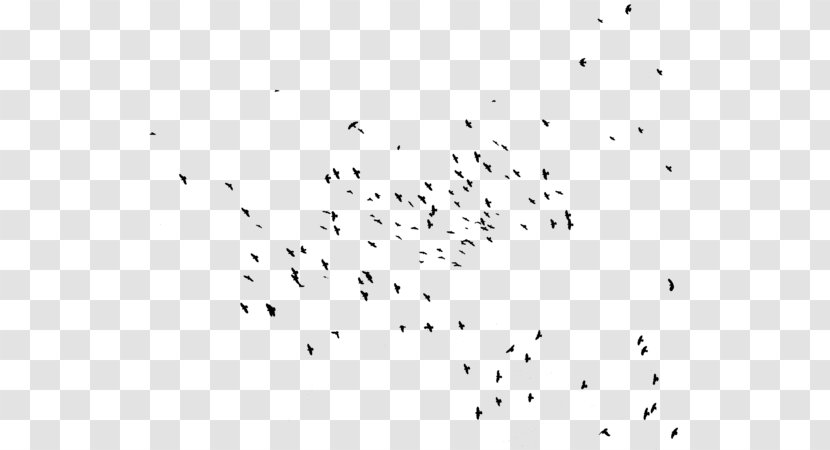 Hummingbird Flock Bird Migration Swallow - Sky - Of Birds Transparent PNG