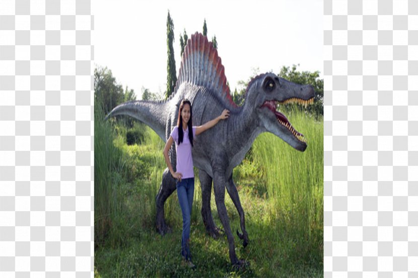 Dinosaur Velociraptor Stallion Mustang Animal - Zoo Transparent PNG