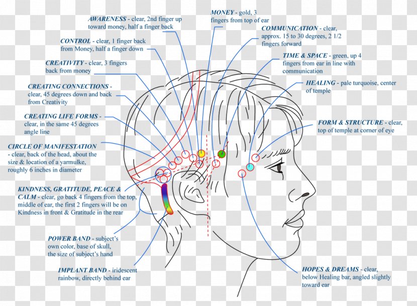 Consciousness Attitude Thought Health, Fitness And Wellness Mind - Cartoon Transparent PNG