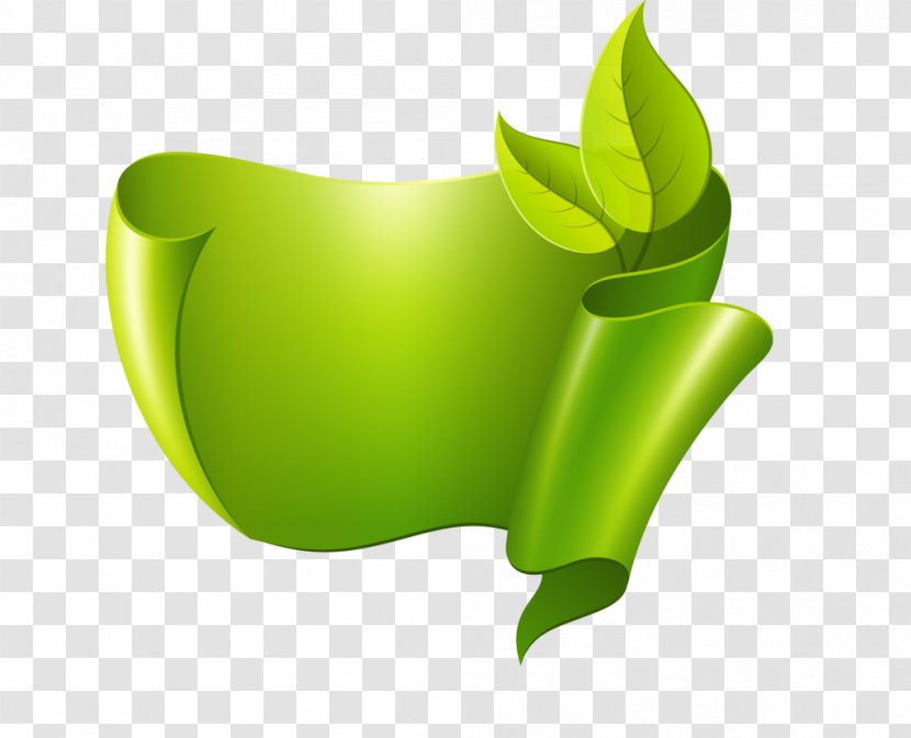 Green Ribbon - Leaf - Grass Transparent PNG
