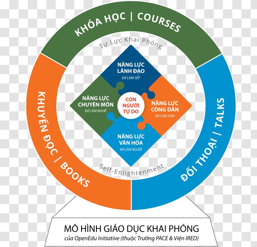 Liberal Education Pedagogy Organization Brand - Cartoon - Hinh Bong Hoa Dao Transparent PNG