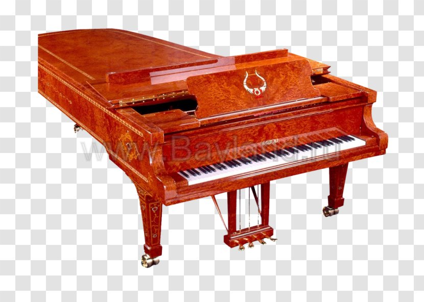 Grand Piano Fazioli Musical Keyboard - Watercolor Transparent PNG
