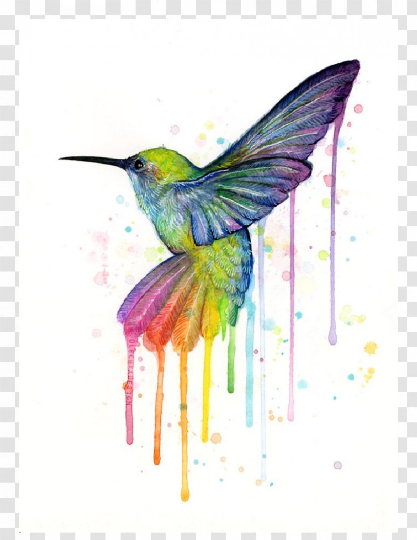 Hummingbird Printmaking Art Watercolor Painting Canvas Print - Pollinator Transparent PNG