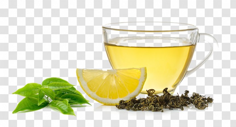 Lemon Tea Lemonade Aloysia Citrodora - Grog - Wet And Dry Leaves Slices Transparent PNG