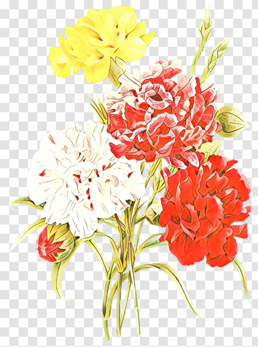 Choix Des Plus Belles Fleurs Botanical Illustration Botany Drawing - Carnation - Painting Transparent PNG