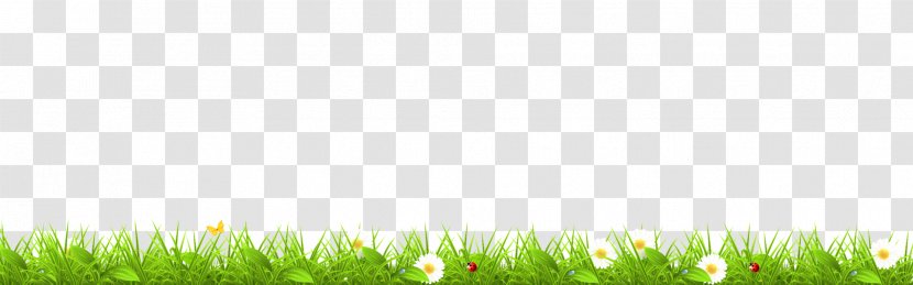 Lawn Green Desktop Wallpaper Computer Grasses - Sky Transparent PNG