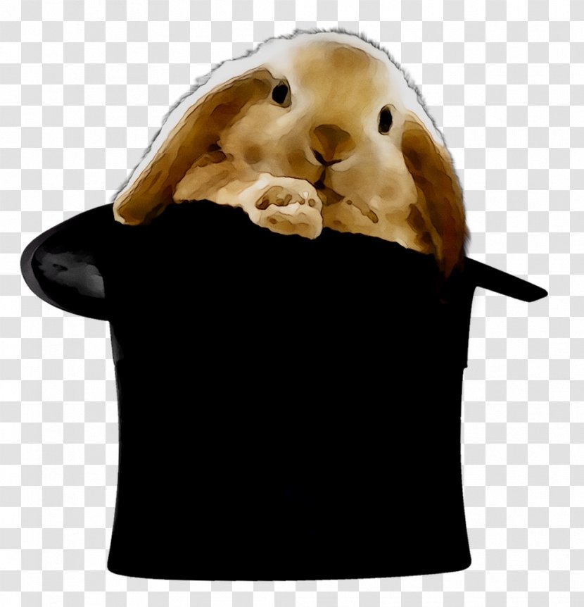 Fur Snout Transparent PNG