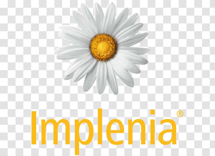 Implenia Norge AS Architectural Engineering Business Project - Daisy Transparent PNG