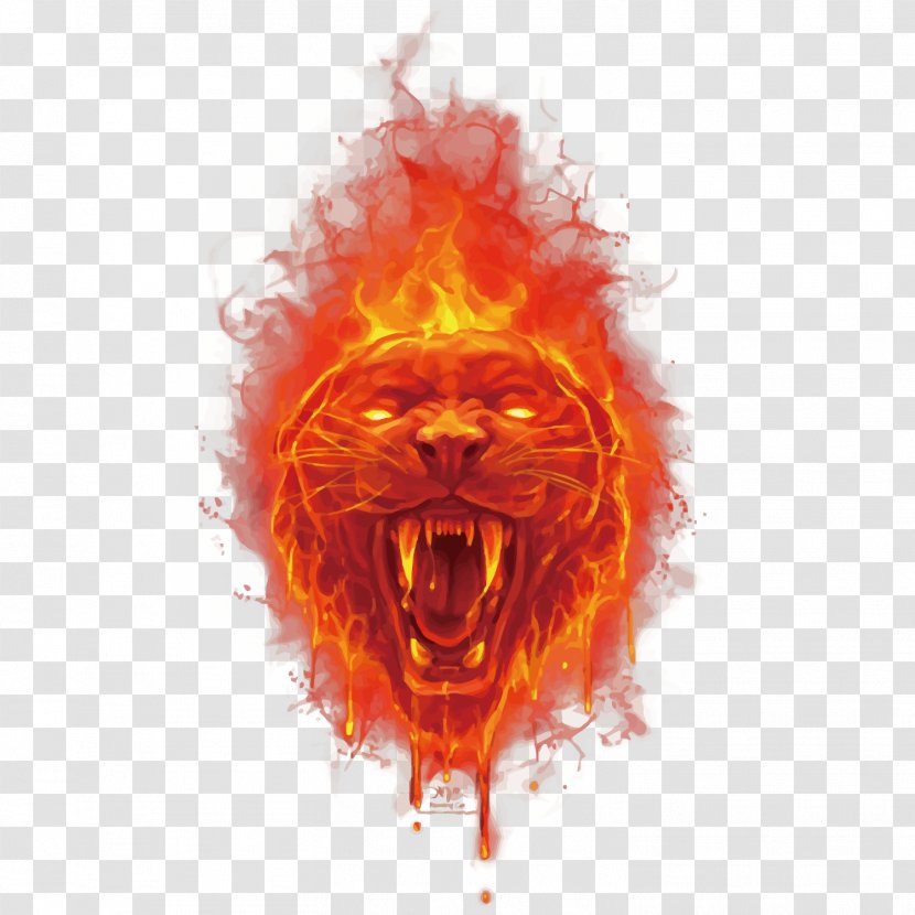 Tiger Fire Euclidean Vector - Art - Head Transparent PNG