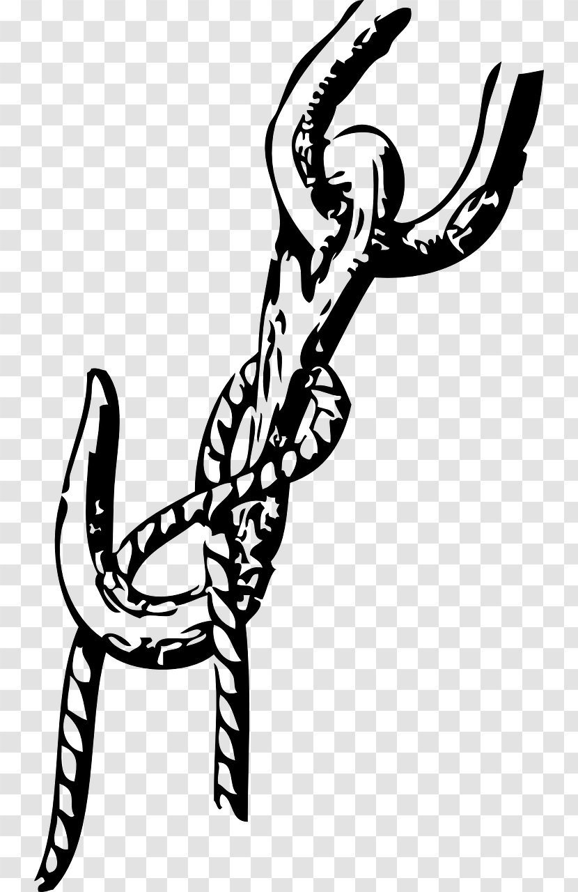 Seizing Knot Clip Art - Tree - Infinity Transparent PNG