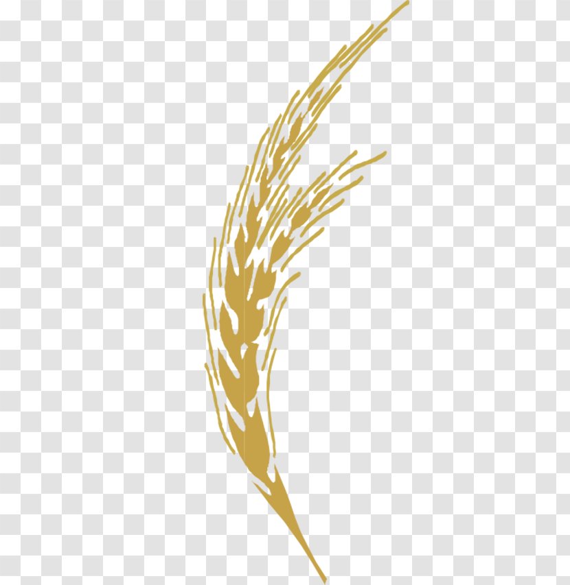 Adobe Illustrator Illustration - Beak - Golden Wheat Transparent PNG