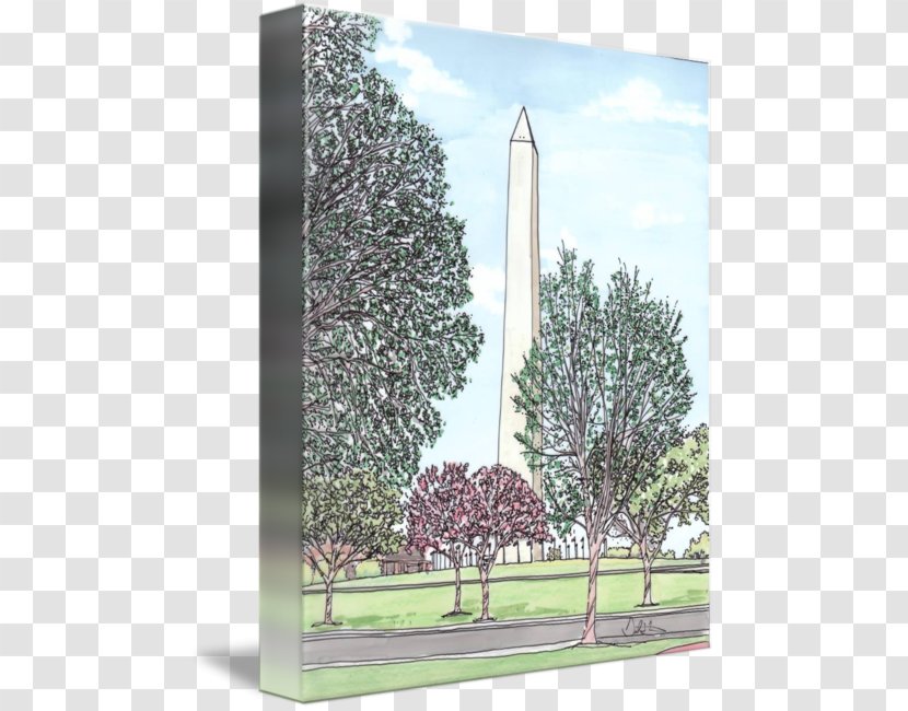 Tree Sky Plc - Washington Monument Transparent PNG