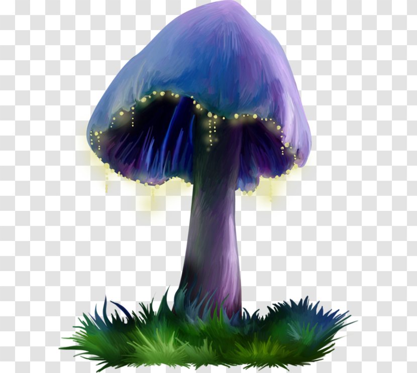 Purple Mushroom - Mushrooms Transparent PNG