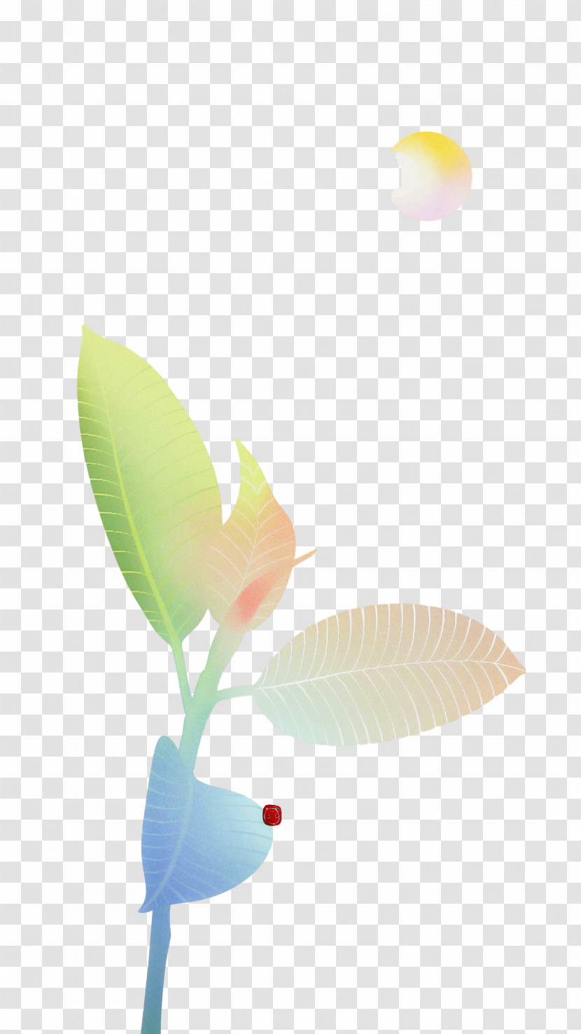 Leaf Petal Flower Computer M Transparent PNG
