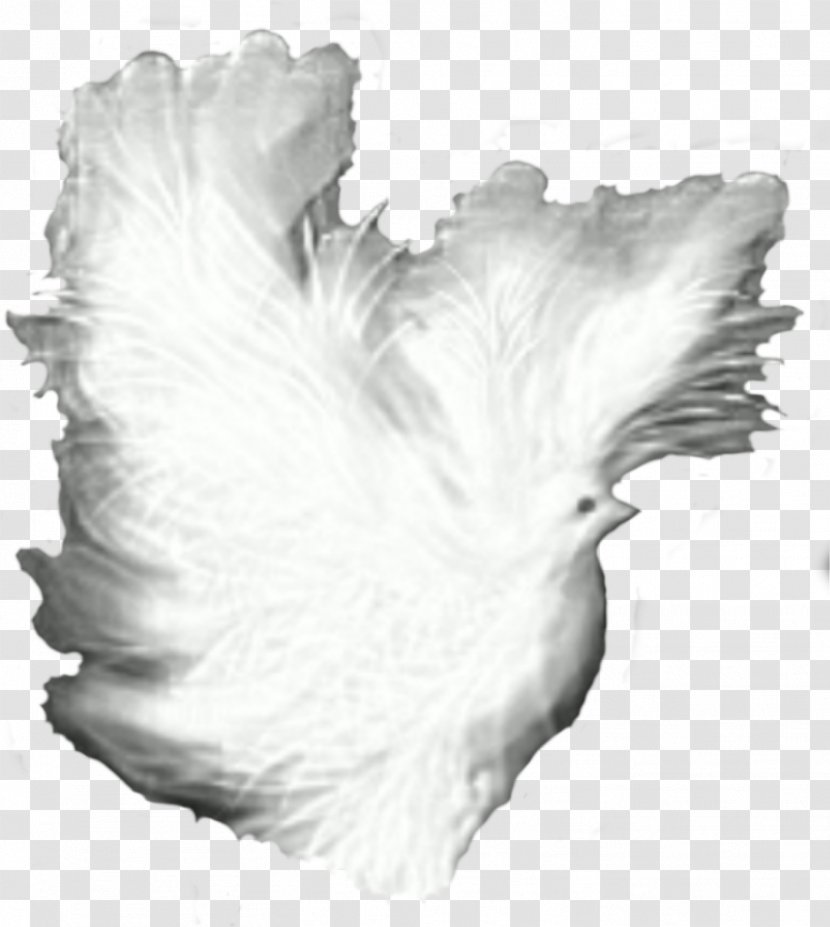 Black And White Monochrome Photography Doves As Symbols - DOVE Transparent PNG