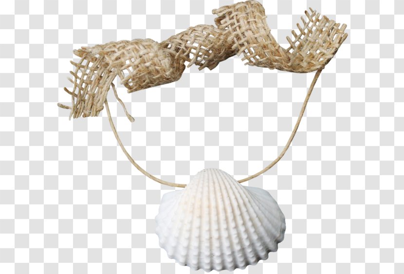 Image Adobe Photoshop Blog Beach - Fashion Accessory - Shells Frame Coquillages Transparent PNG