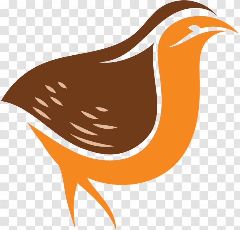 Clip Art Beak Fauna Landfowl Orange S.A. - Bird Transparent PNG