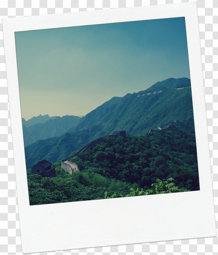 中英双语圣经 No5 Stock Photography Hill Station Mountain - Lily Orange Transparent PNG
