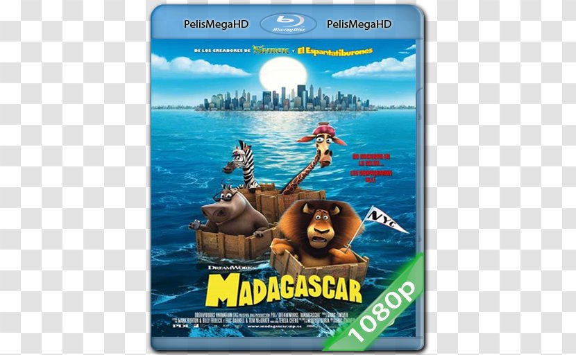 Marty Melman Alex Madagascar Film - Spanish - Ben Stiller Transparent PNG