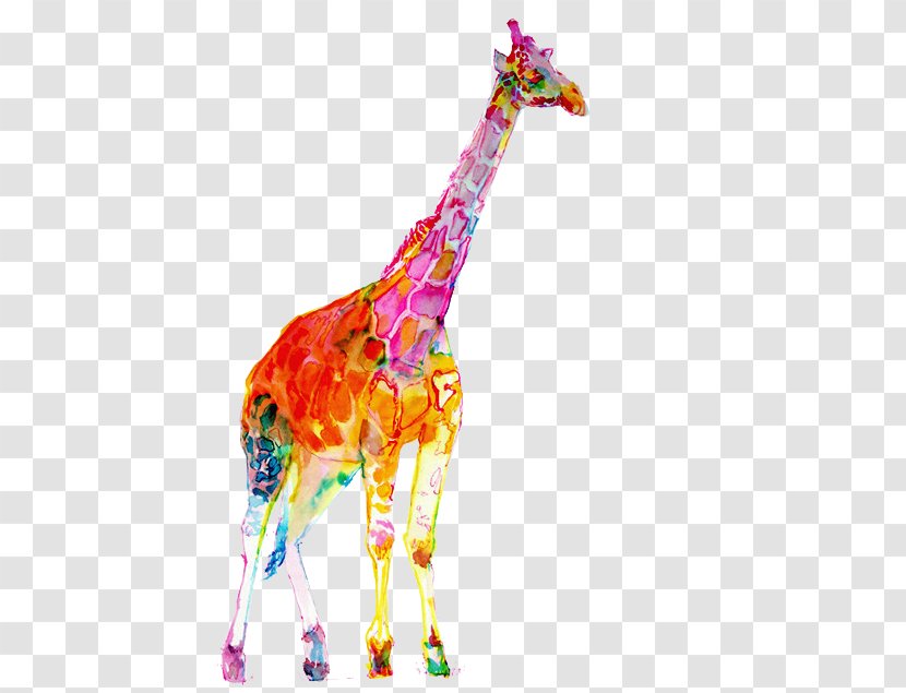 Watercolor Painting Northern Giraffe - Giraffidae Transparent PNG