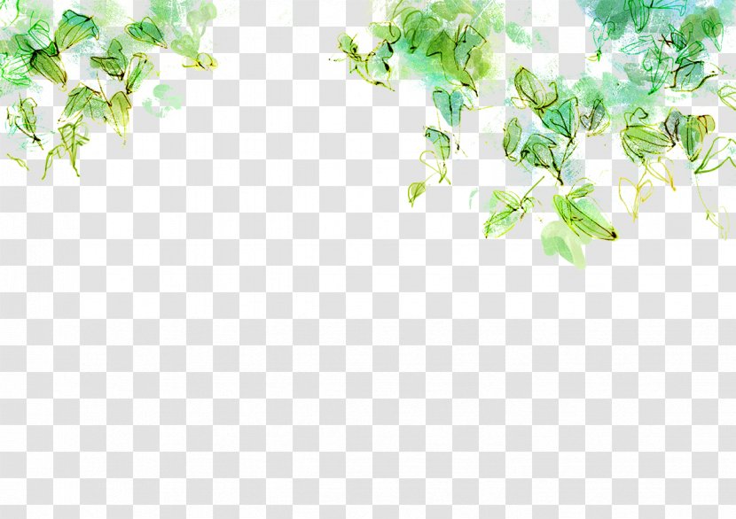 Vector Graphics Illustration Euclidean Leaf Desktop Wallpaper - Green - Atelier Background Transparent PNG