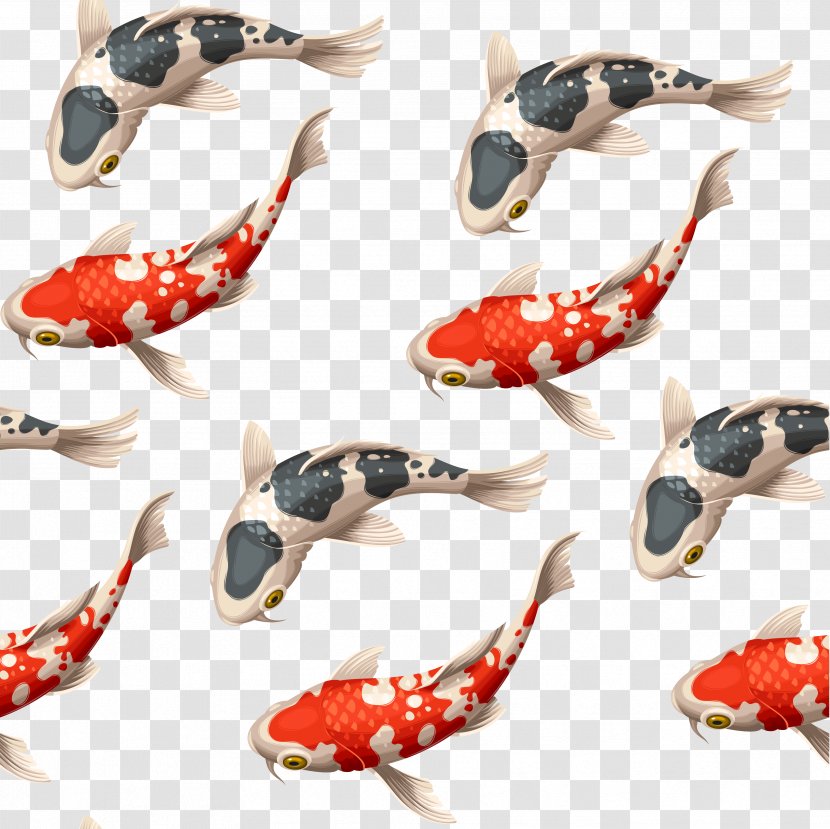 Koi Goldfish Carp Illustration - Royaltyfree - Japanese Vector Transparent PNG