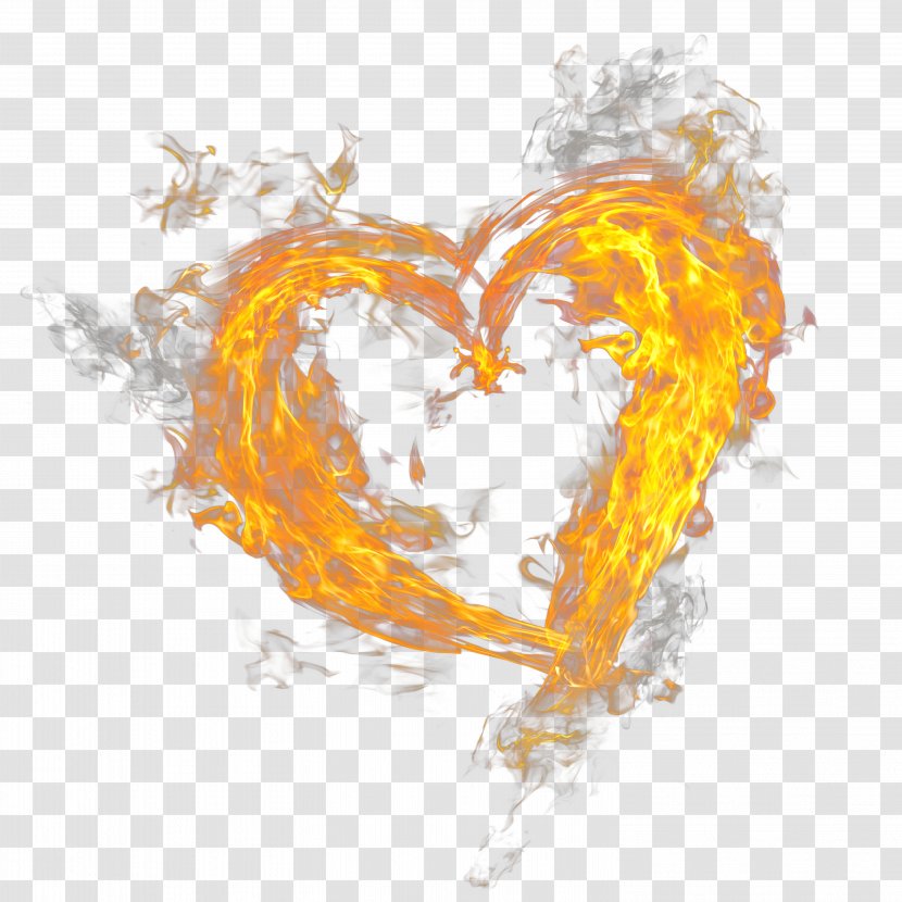 Fire Flame Light - Silhouette - Heart Transparent PNG