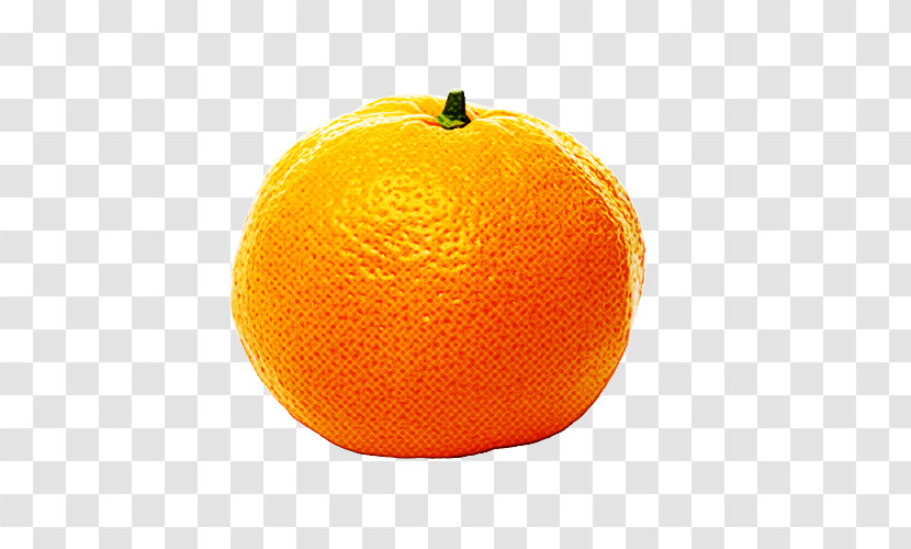 Orange Transparent PNG