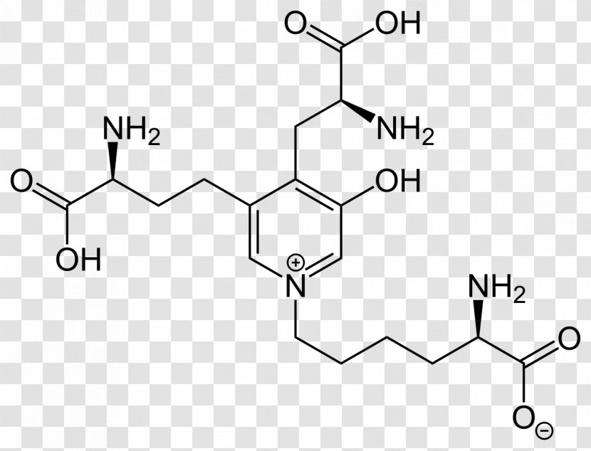 Deoxypyridinoline Research Cefalexin Pharmaceutical Drug CAS Registry Number - Text - Urine Test Transparent PNG
