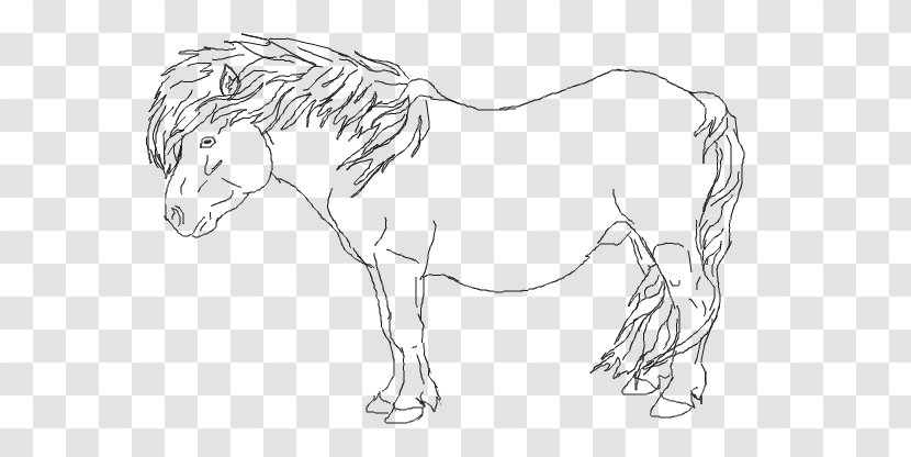Mane Bridle Mustang Stallion Colt - Shetland Pony Transparent PNG