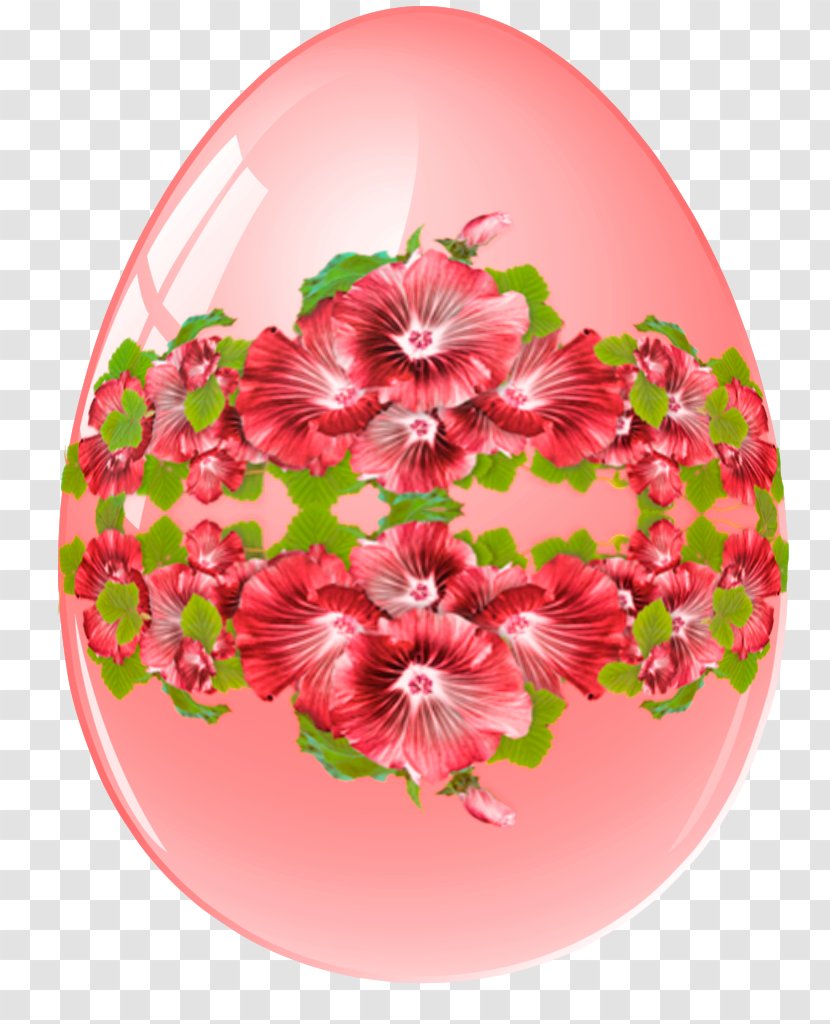 Floral Design Cut Flowers Petal Plants - Blossom - Flowering Plant Transparent PNG