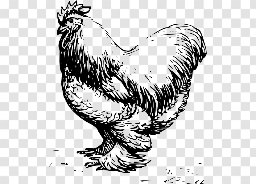 Wyandotte Chicken Plymouth Rock Leghorn Silkie Dorking - Watercolor - Running Transparent PNG