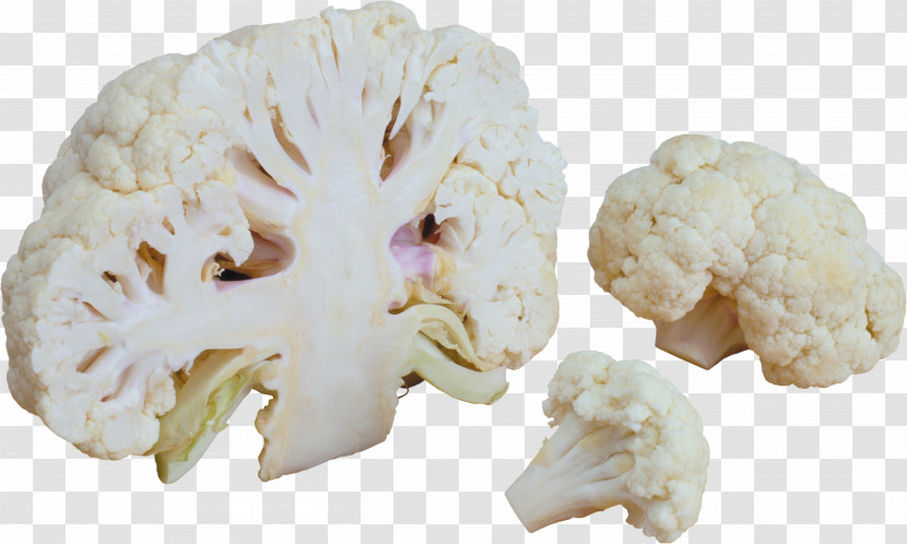 Cauliflower Transparent PNG