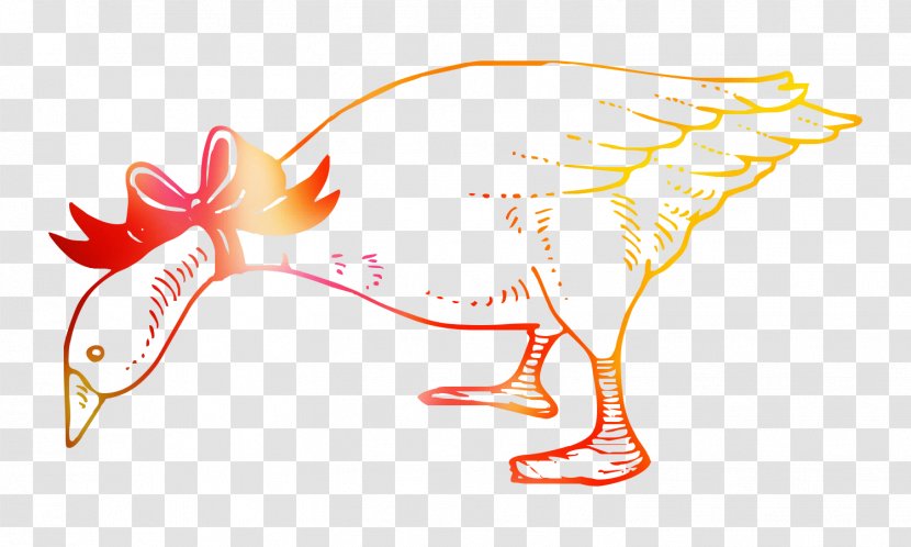 Chicken Illustration Bird Clip Art Beak Transparent PNG