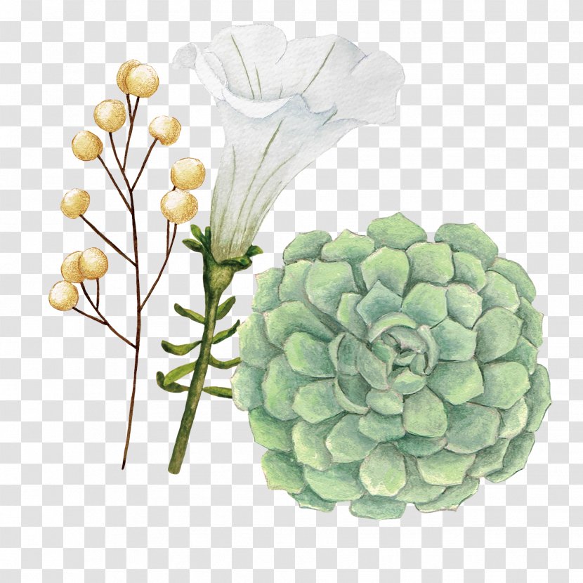 Floral Design Watercolor Painting Flower - Plant - Flowers Transparent PNG