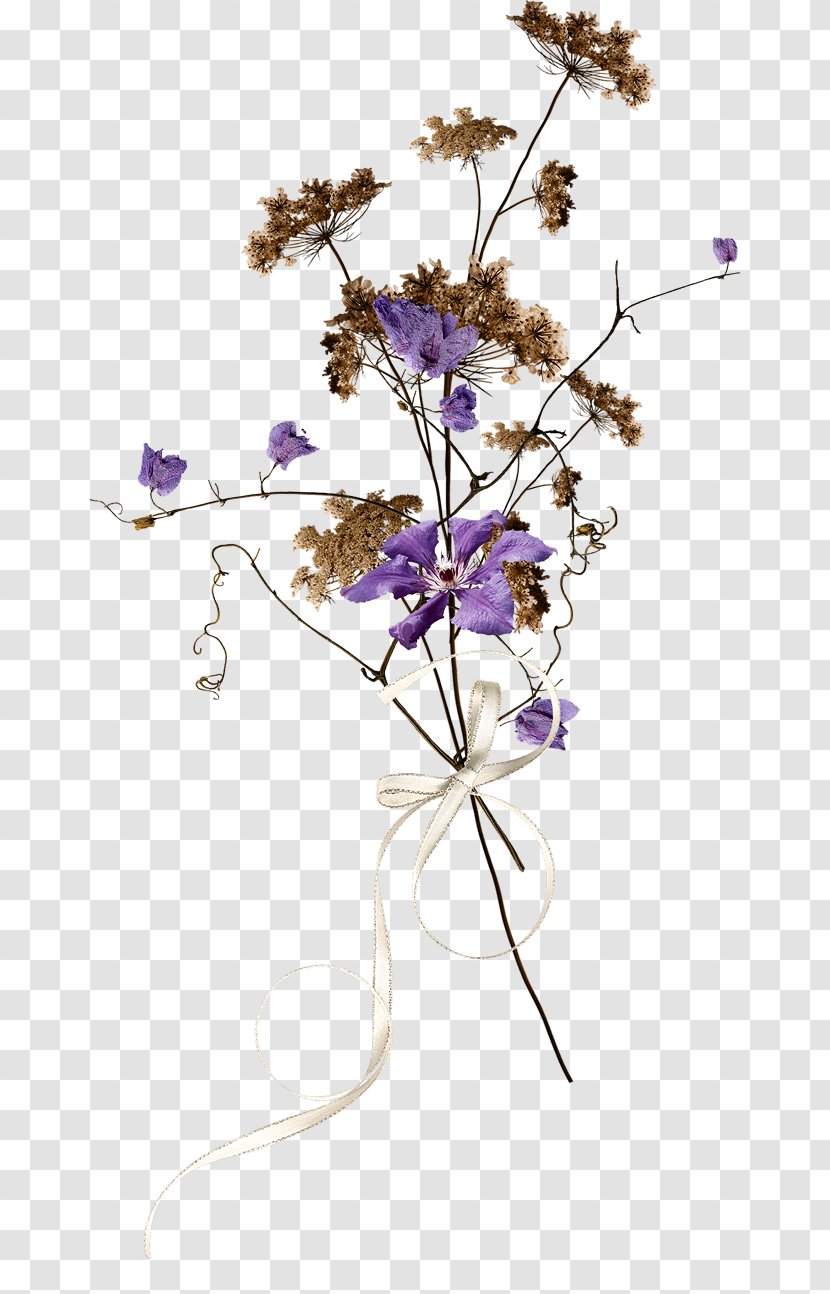 Floral Design Cut Flowers Lavender Lilac - Polyvore - Flower Transparent PNG