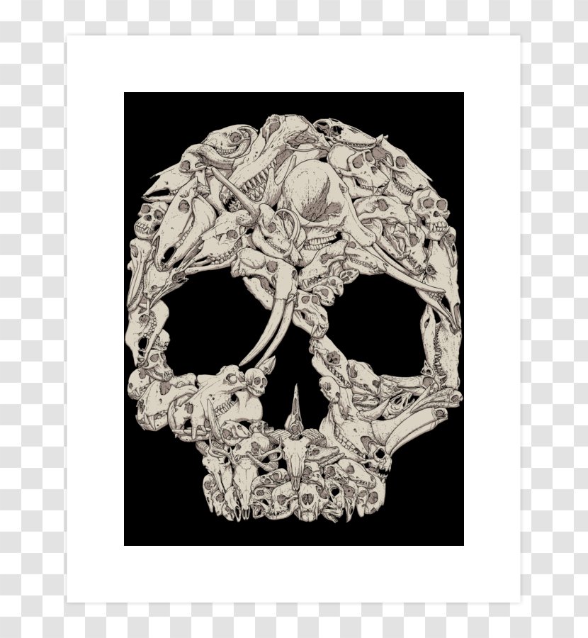 Skull - Bone Transparent PNG