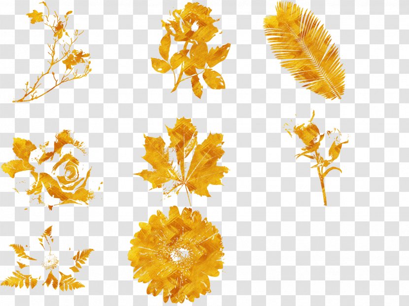 Gold Download Yellow - Petal - Golden Flower Transparent PNG