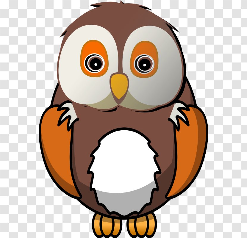 Owl Bird Clip Art Transparent PNG