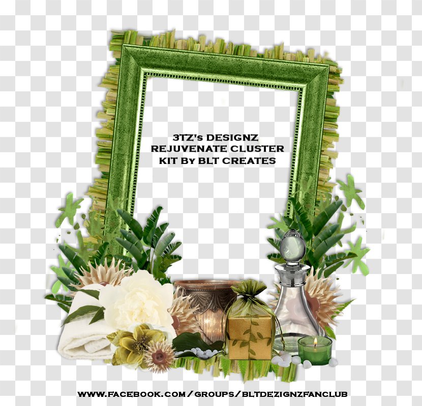 Floral Design Picture Frames Flower Tree - Plant Transparent PNG