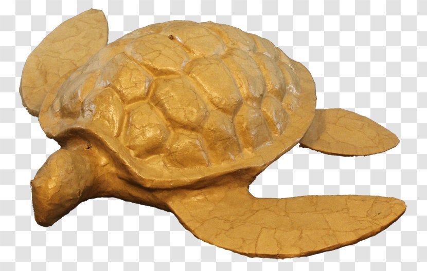 Bestattungsurne Turtle The Ashes Urn Cremation - Container Transparent PNG