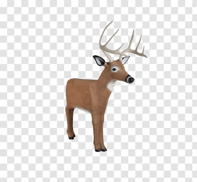 Reindeer White-tailed Deer Target Archery Hunting - Corporation Transparent PNG
