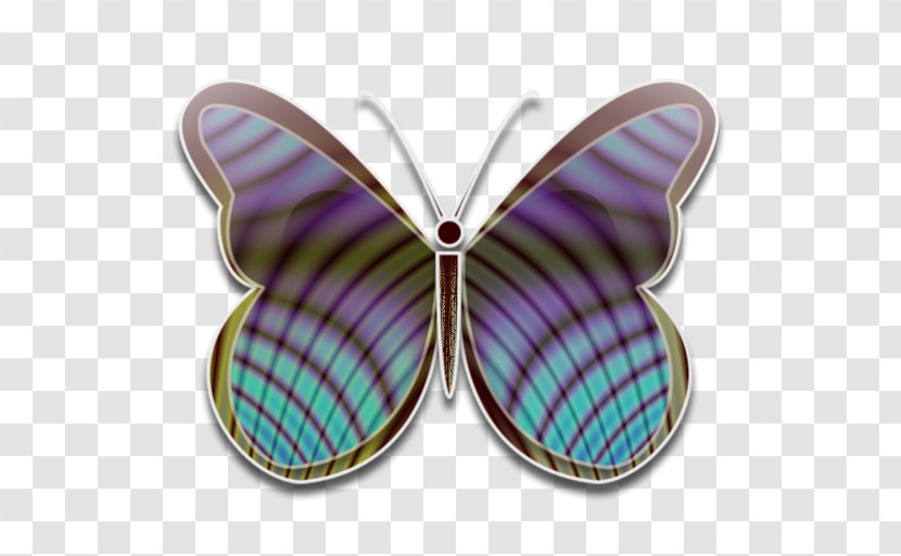 Butterfly - Chrysiridia Rhipheus - Blog Transparent PNG