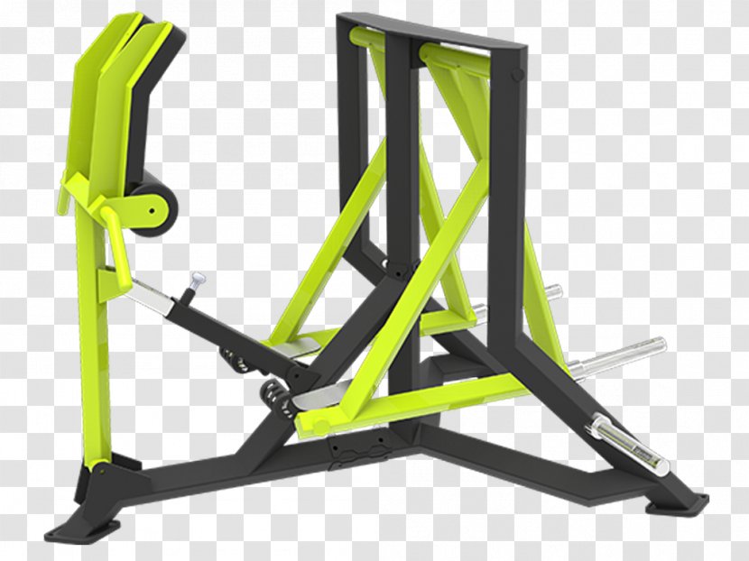 Exercise Equipment Physical Fitness Centre - Tree - Barbell Transparent PNG