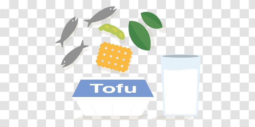 Logo Brand Tofu Food - Text Transparent PNG